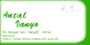 antal vanyo business card